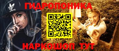 индика Тула