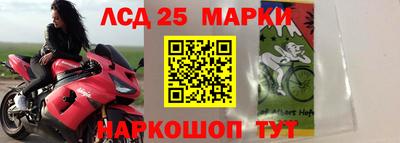 индика Тула