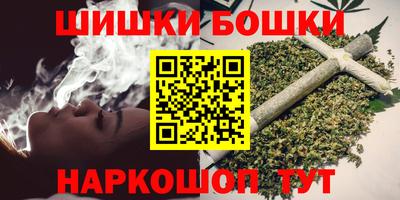 индика Тула