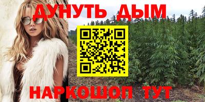 гашик Тулун