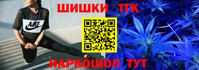 индика Тула