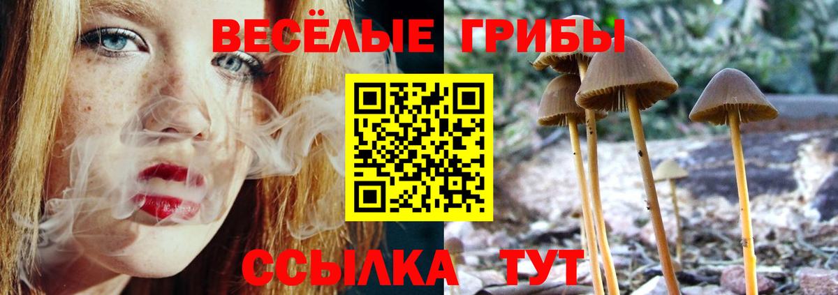Галлюциногенные грибы мухоморы Барнаул