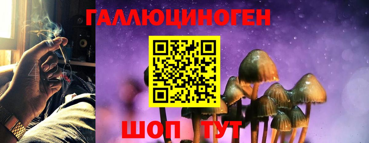 купить  цена  Галлюциногенные грибы GOLDEN TEACHER  Вход с VPN  Барнаул 